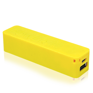 Power Brick USB Akku