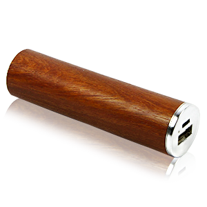 Power Woody USB Akku